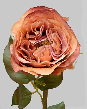 Rose Dutchess Bud 21.5&quot; Rusty Orange