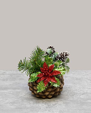 Winter Pinecone Classic