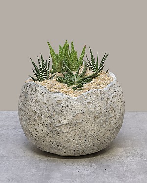 Moonstone Planter