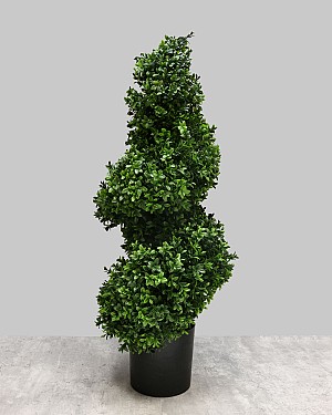 Boxwood Spiral Tree 33&quot;H