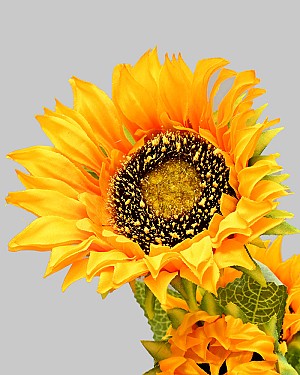Sunflower 27&quot; Yellow