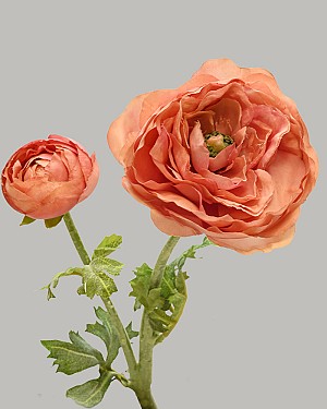 Ranunculus 19.5&quot; Salmon