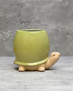 Turtle Planter 5&quot;H