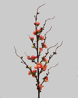 Peach Blossom 30&quot; Orange/Red