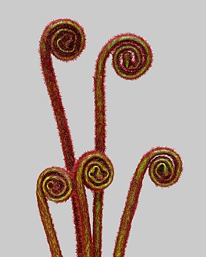 Fern Bud Stem Bundle 24&quot; Burgundy/Green