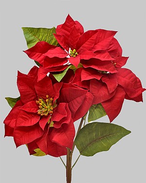 Poinsettia Spray 27&quot; Red