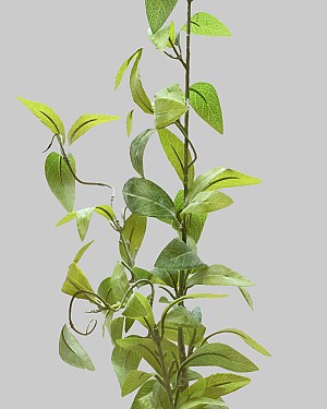 Dusty Laurel Branch 40&quot; Green