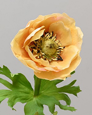 Anemone 17.5&quot; Yellow