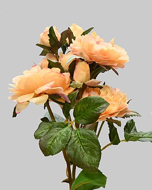 Rose English Spray 20" Yellow/Pink