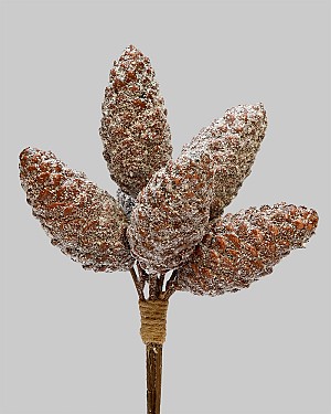 Frosted Pinecone Bundle 8.5&quot; Brown