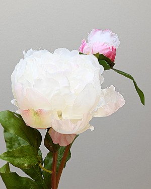 Peony Open with Bud 19.5&quot; White