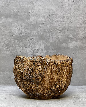 Fossil Planter - Brown 8&quot;D