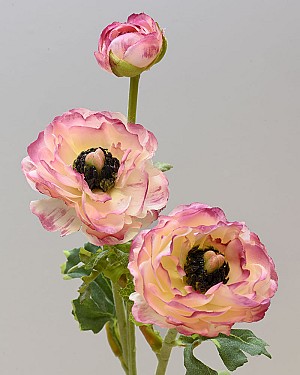 Ranunculus 18.5&quot; Mauve/White