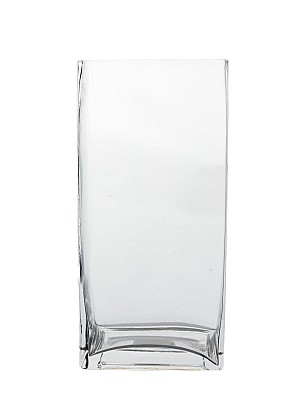 Rectangular Clear Glass Vase 10"H