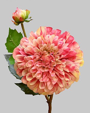 Dahlia 20&quot; Pink/Peach