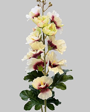 Hollyhock 36&quot; White/Mauve