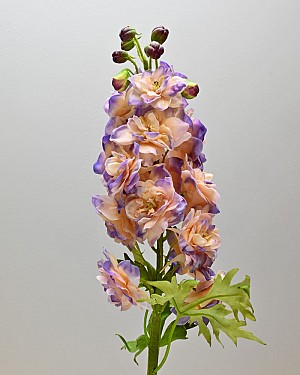 Delphinium 24&quot; Purple/Cream