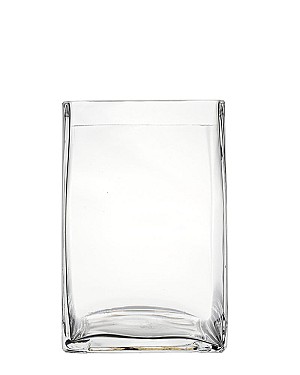 Square Clear Glass Vase 6"H (4"x4")