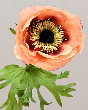 Anemone 17.5&quot; Coral