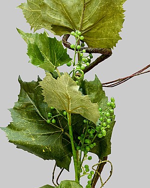 Spring Vineyard Branch 32&quot; Green