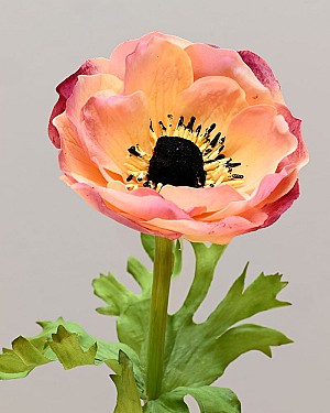 Anemone 17.5&quot; Cream/Mauve