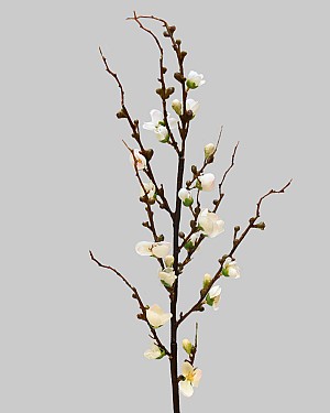 Peach Blossom 30&quot; White