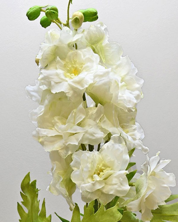 Delphinium4
