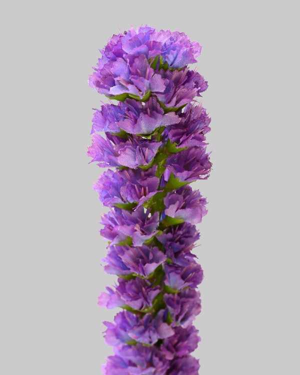 Liatris
