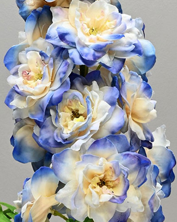 Delphinium1