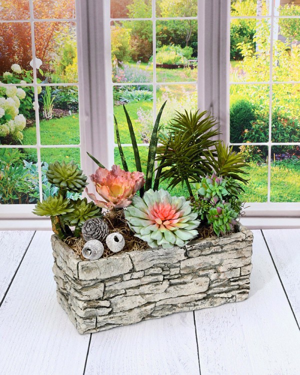 Stone wall Container with Succulents
