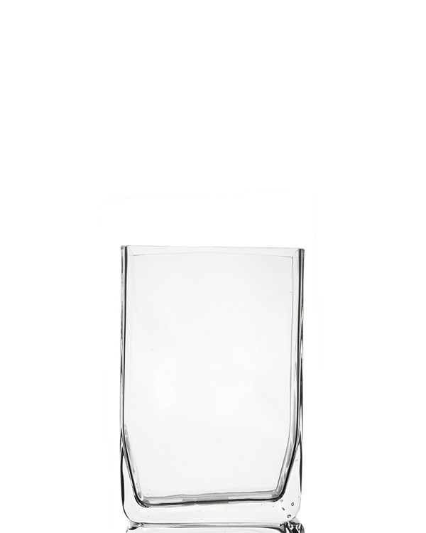 Rectangular Clear Glass Vase 7"H