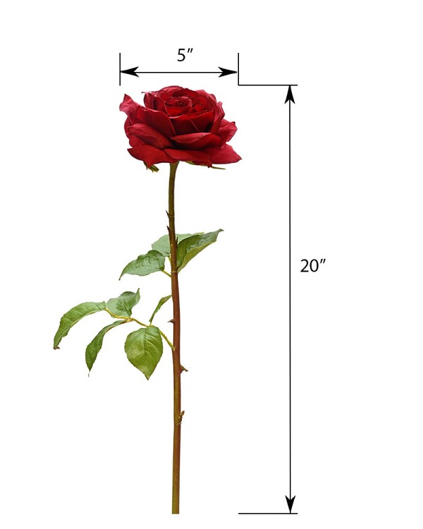 ST-W1RD-RDXM-20R-4jpg