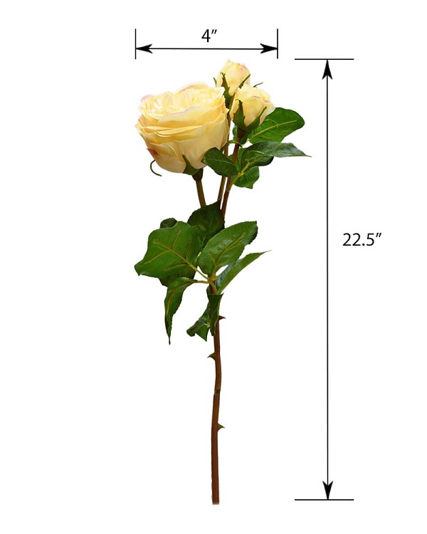 ST-W4ENRO-YL-225R-55