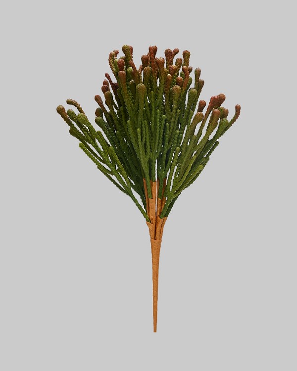 ST-85BNA-GRB-15-2jpg