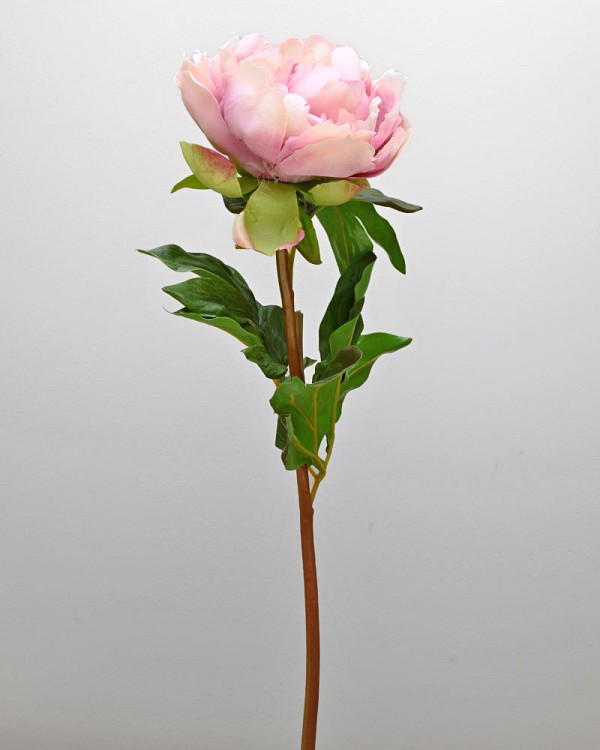 ST-WPE1-DL-205N-3jpg