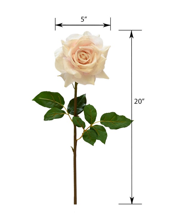 ST-WRO1RD1-LP-20N-55
