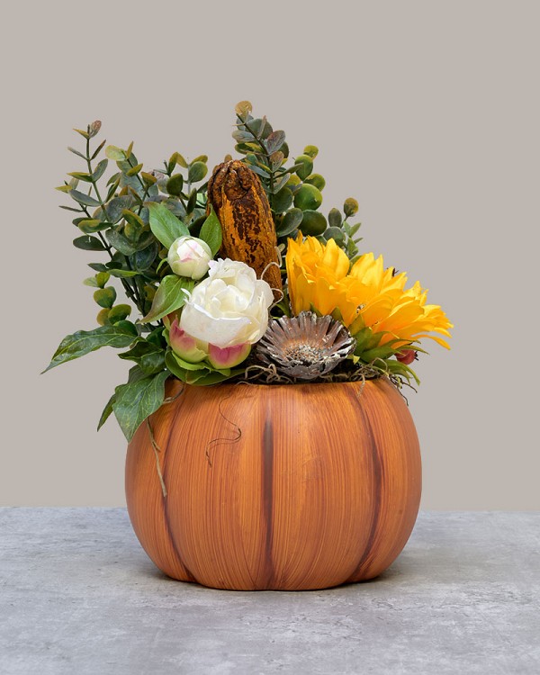 Pumpkin-Patch-Sunflower2