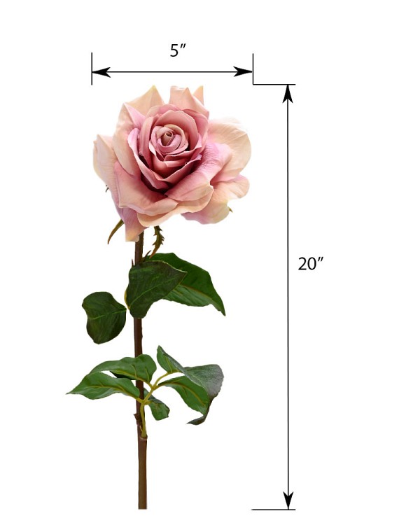 ST-WRO1RD1-LM1-20N-4