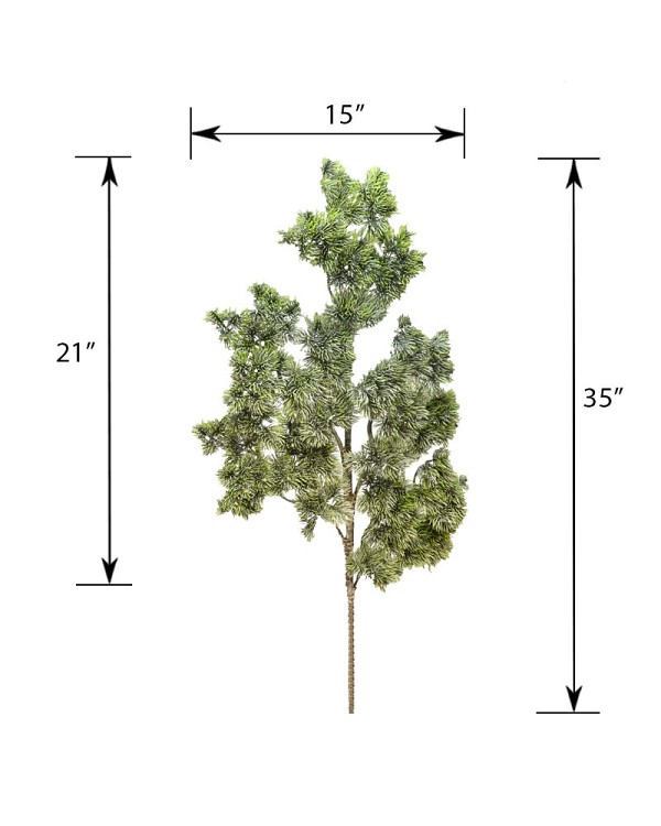 ST-85PNE-GRW-35-55jpg