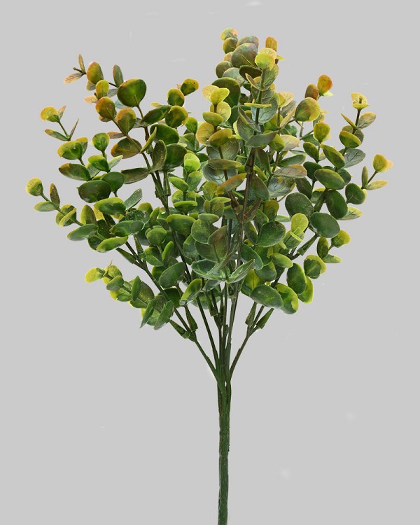 ST-WEU-GYGR-13R-2jpg