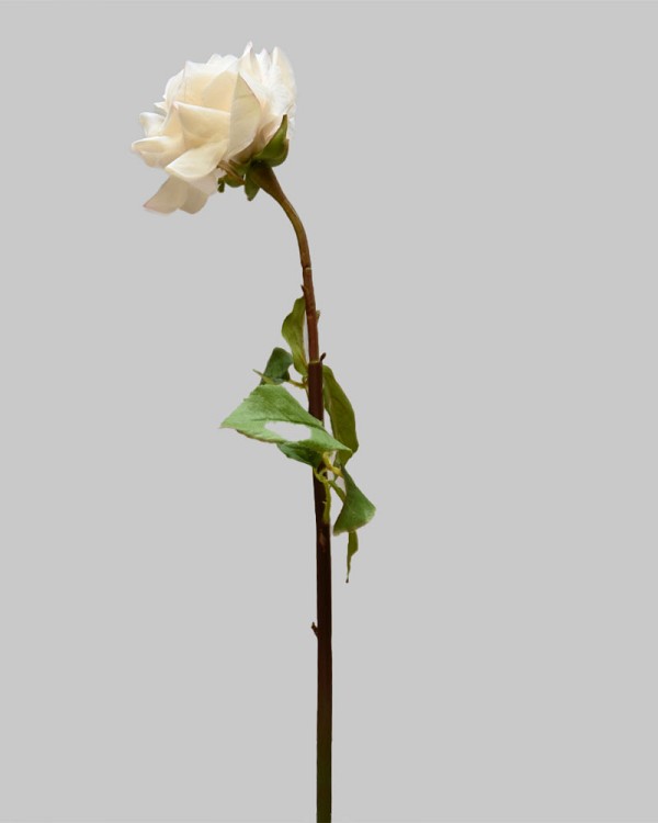 ST-WRO1RD1-LP-205R-3jpg