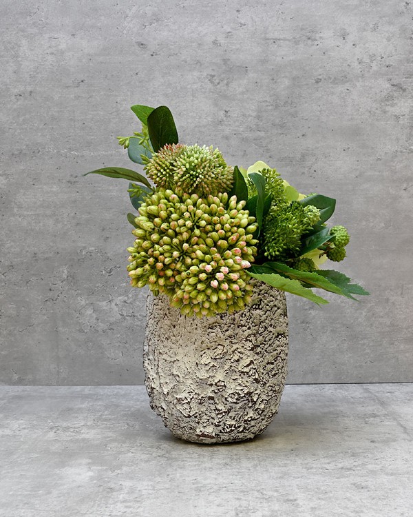 Bark & Blossom - White