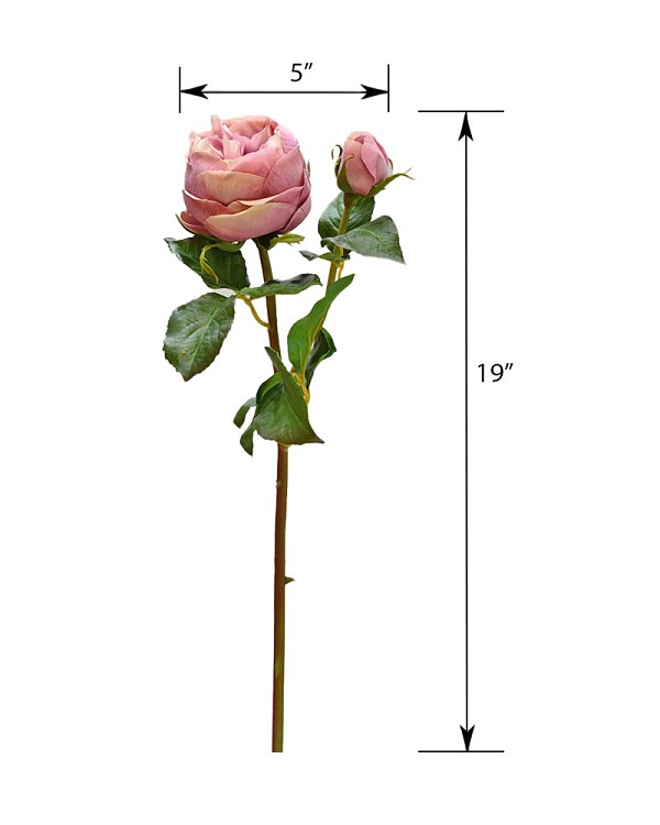 ST-WRO1EN4-LM-19N-55