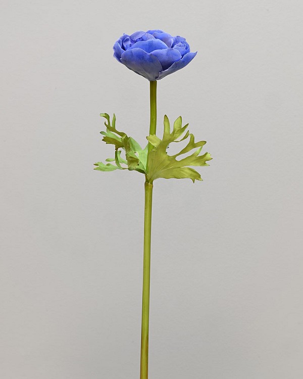 ST-WAE1-BL-175N-3333