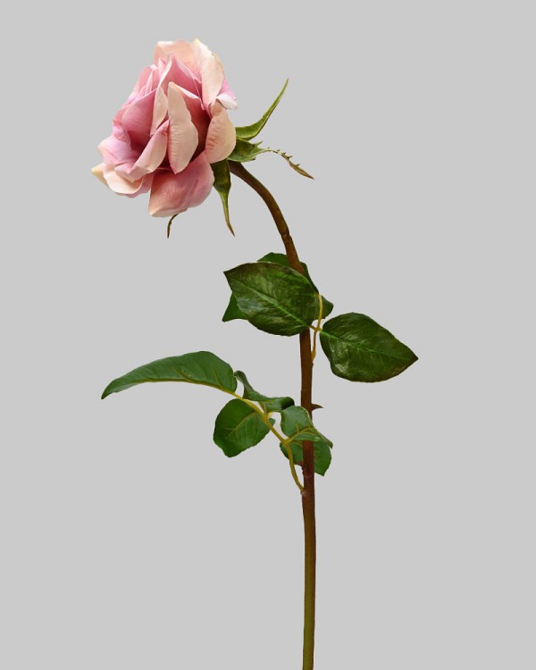 ST-WRO1RD1-LM1-20N-3