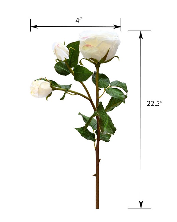 ST-W4ENRO-WH-225R-55