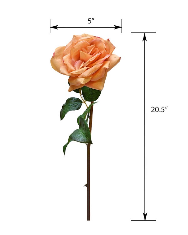 ST-WROE1-PC-205N-55jpg