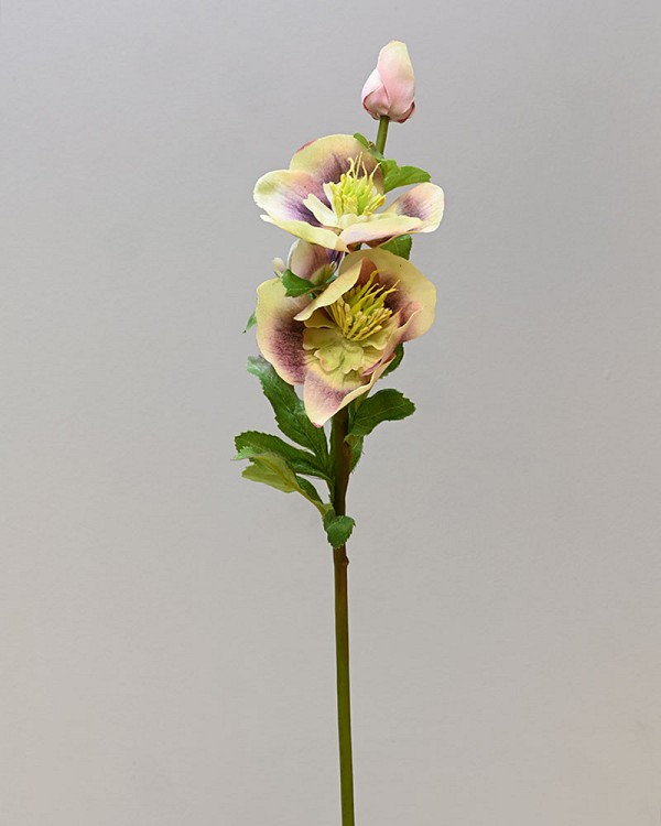 ST-WHS-LVGR-18N-3jpg