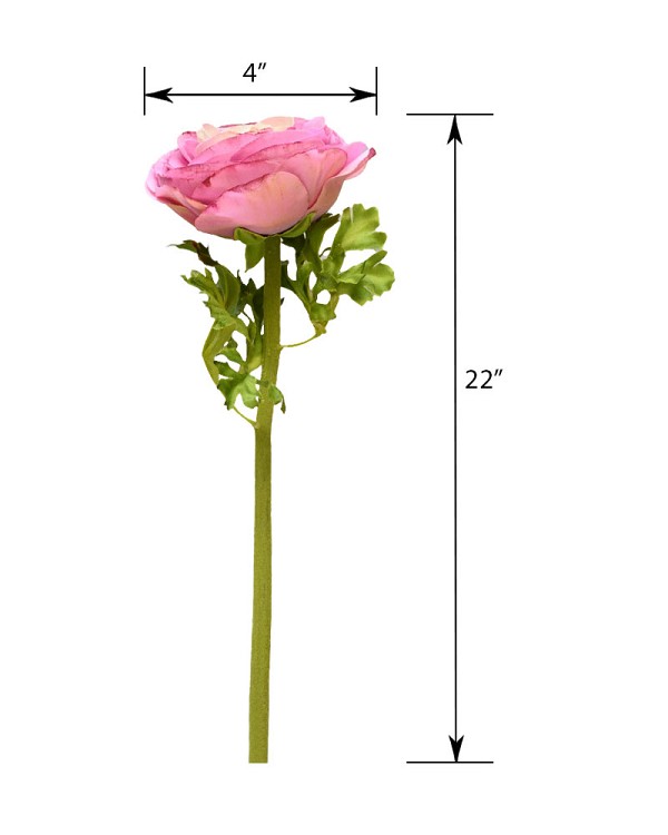 ST-WRN1-PK-22N-55jpg