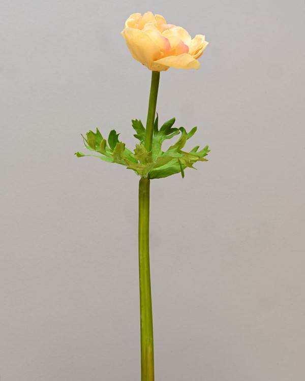 ST-WAE1-YL-175N-2222